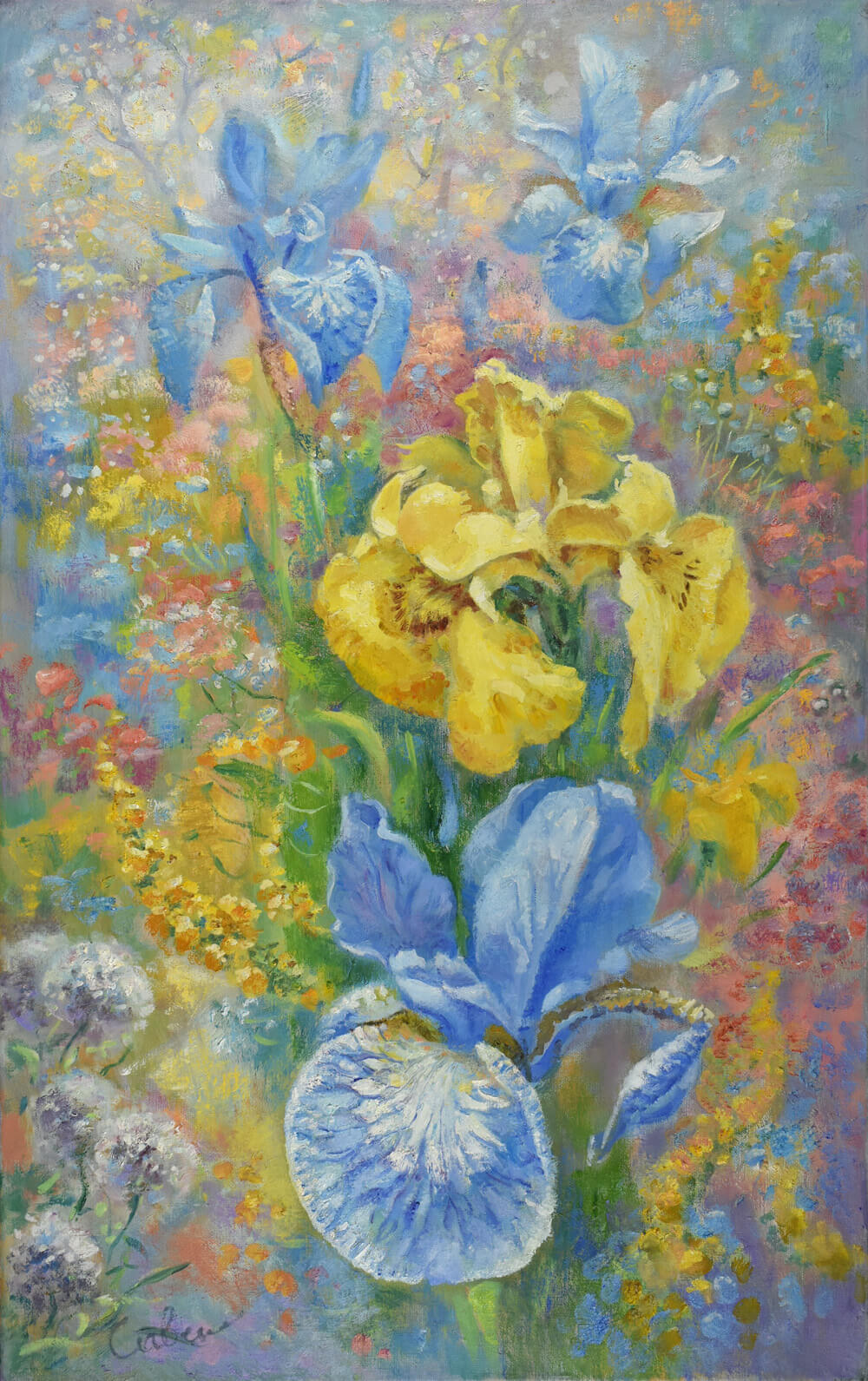 Yellow and Blue Irises