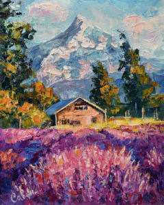 Lavender Field Mount Hood in Oregon