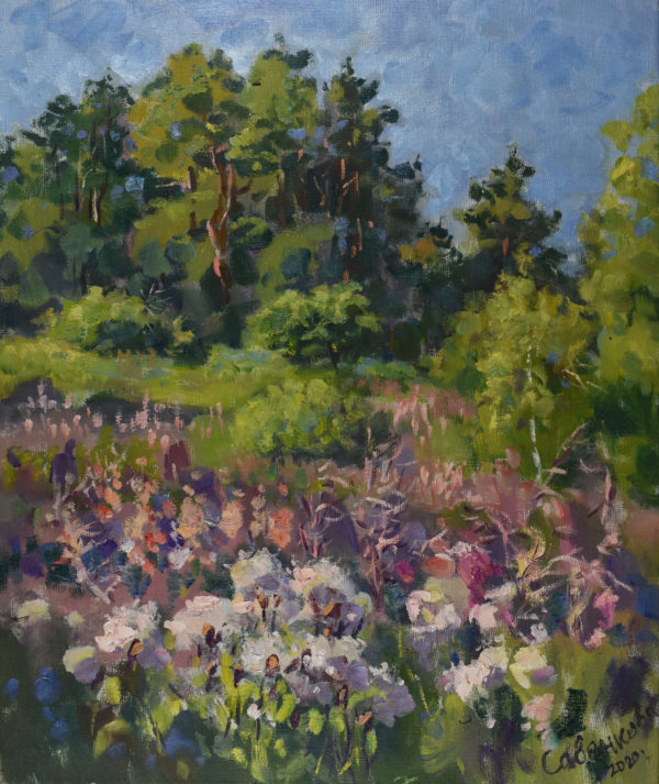 Morning Landscape Original Art Summer Impressionism Thistle Blooming