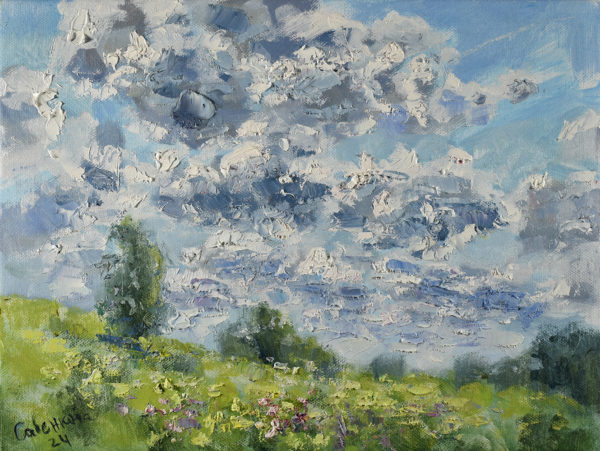 Clouds Painting Field Artwork Nature Landscape Original Art Impressionism